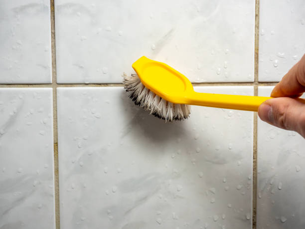 Best Mold Removal Near Me  in Burleson, TX