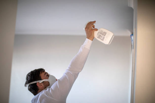 Best Same-Day Mold Removal  in Burleson, TX