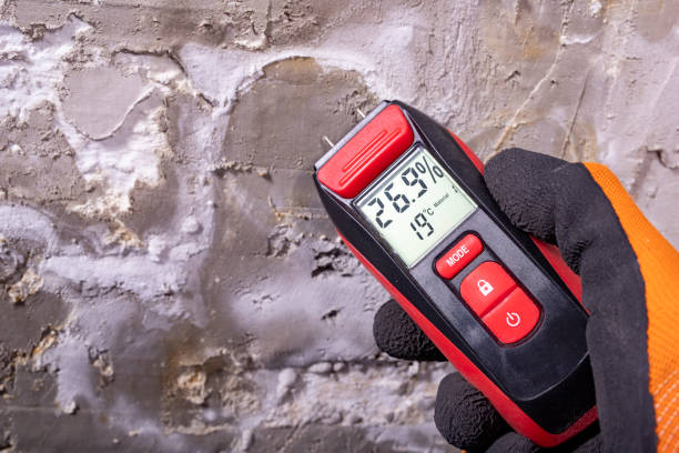 Best Same-Day Mold Removal  in Burleson, TX