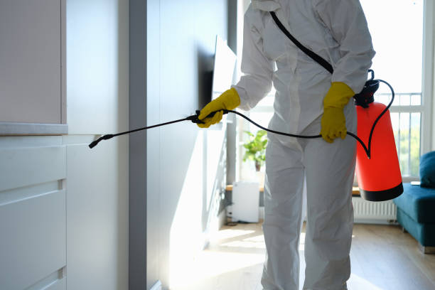 Home Mold Removal in Burleson, TX