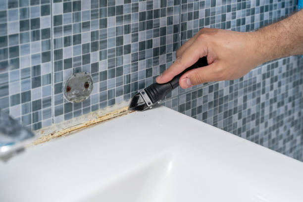 Best Mold Remediation  in Burleson, TX