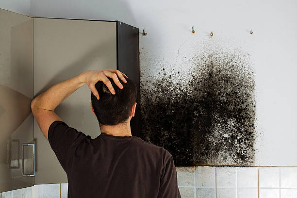 Best Mold Cleaning Services  in Burleson, TX