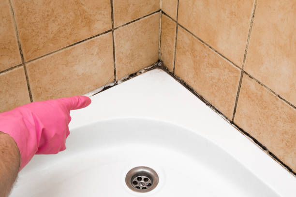 Mold Testing and Removal in Burleson, TX